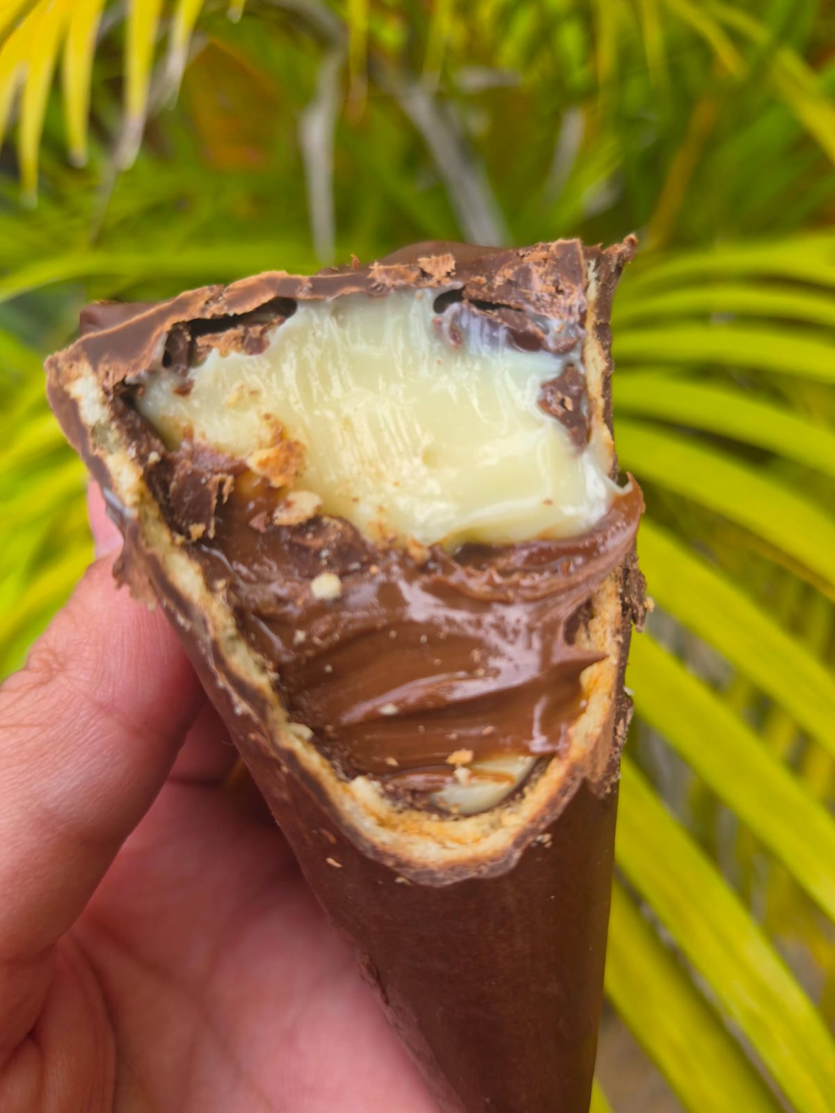Cone Trufado